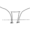 Abdomen, sternal apodemes, ventral view: !! display not done !! on Cofana spectra (Distant, 1908): Abdomen, sternal apodemes, ventral view. (Observation).