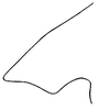 Hebardidora panamae (Hebard, 1924): Pl. VI, Fig. 7 (after type). female, latero-caudal angle of pronotal side lobe, dorsal outline. (Otu).