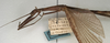 CollectionObject 1557221; NMW 972', 47213140-8d79-4db1-995a-2cef86019d43: copyright NMW, Vienna. female: head and thorax, lateral view (former syntype of Asceles villosus). (CollectionObject).