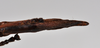 CollectionObject 1558577; NTUC 723, 3f74161b-0c62-46e4-9d98-7d7d23d7bdc2: copyright NTUC. female: end of abdomen, ventral view of synonym Entoria nagoensis (holotype). (CollectionObject).