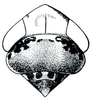 Head: !! display not done !! on Pasadenus Ball, 1936: Pasadenus pasadenus, head, pronotum, and mesonotum, dorsally. (Observation).
