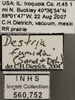 Other on Destria fumida (Sanders & DeLong, 1917): Labels. Labels for the specimen used for the Male Immature dorsal, lateral and face images. (Observation).