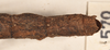 CollectionObject 1559394; OUM 570, 71cc763d-1ec3-4655-ab3c-93de77fc595c: copyright OUMNH. female: end of thorax, dorsal view of Lonchodes amaurops (lectotype). (CollectionObject).