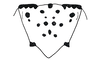 Eucosmetacris festae (Giglio-Tos, 1898): Fig. 127. subgenital plate / epiproct. (Otu).