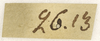 CollectionObject 1530598; 1f32a12e-8289-46a6-af11-da3648c39908: label (syntype of Locusta pupaspinosa). (CollectionObject).