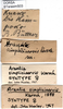 CollectionObject 1501746; 325f1b2c-fbe3-45e2-852e-a95e1ec86c01: labels (syntype). (CollectionObject).