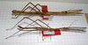 CollectionObject 1562550; cfb55749-f90f-4c91-845e-24ab23e23e74: copyright MNHG, Geneva. male and female, lateral view (paratypes). (CollectionObject).;CollectionObject 1562551; 7ca80aa1-5a50-49f2-87c4-25b644c73f13: copyright MNHG, Geneva. male and female, lateral view (paratypes). (CollectionObject).