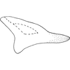 Pygofer appendages on Arboridia (Arboridia) huajiangensis Jiang, Luo & Song, 2021: dorsal pygofer appendage, lateral view. (Observation).
