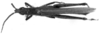 Machaeropoles rostratus rostratus Rehn, 1909: Image Carbonell, C.S. male, dorsal view (possibly type). (Otu).