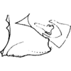 Pygofer, lateral view on Dunioa gratiosa Dworakowska, 1995: pygofer or process. (Observation).