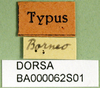 CollectionObject 1501664; a39a6b59-04c9-44c6-8c6d-b81e0e461424, DORSA BA000062S01: labels (holotype). (CollectionObject).