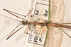 CollectionObject 1559679; 03404040-4875-4a90-9049-33fc2e48c2d8: copyright OUMNH. male: head & thorax, dorsal view (holotype). (CollectionObject).
