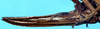 CollectionObject 1499552; 1d0d63ce-255d-4294-ae4d-6189b32e3396: female ovipositor (allotype). (CollectionObject).