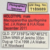 CollectionObject 1618732; 2f8ab5fe-742d-4936-baf3-b27685d7bde5: (CollectionObject).