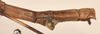 CollectionObject 1558794; bd574a61-7251-434a-ae6f-99f7a73a9ea7: copyright OUMNH. male: end of abdomen, lateral view (holotype). (CollectionObject).