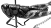 CollectionObject 1564378; c2aad372-89a4-4db6-b5fb-5563eea7324d: Image Carbonell, C.S. male, lateral view (paralectotype). (CollectionObject).