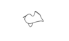 Zygoclistron superbum Rehn, 1907: Fig. 75. epiphallus, lateral view. (Otu).