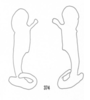 Stylus: !! display not done !! on Xenoliarus montanus (Metcalf, 1923): (Observation).