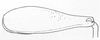 Ceuthophilus (Ceuthophilus) ozarkensis Hubbell, 1936: Fig. 475. (male) Caudal tibia. (Otu).