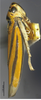 Habitus, lateral view on Atkinsoniella nigrisigna Li, 1992: (Observation).