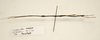 CollectionObject 1591074; 3f08a0ef-71f1-4518-a1c5-70dfa24afd6d: copyright ZRC Singapore. male, lateral view (paratype). (CollectionObject).