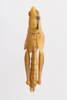 CollectionObject 1593078; b2757829-02e9-4694-9673-55fd6ac99e1d: female, dorsal view (allotype of Pyrgomorphella predtetshenskii). (CollectionObject).
