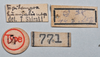 CollectionObject 1553125; NTUC 770, 771, 1c8c75cf-c21c-4d27-b41f-36429b53b69e: copyright NTUC. data labels (syntype). (CollectionObject).