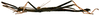 CollectionObject 1564005; fa58844b-c3cf-4249-9bc3-8d4e75f4452d: copyright ISNB, Brussels. male, lateral view (paratype). (CollectionObject).