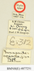 CollectionObject 1518524; c0e9e8f4-e6ad-4c3b-b914-183cbcf1d05e: male, labels (holotype). (CollectionObject).