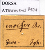 CollectionObject 1538361; 5c7f75e6-9cbb-4b8e-8309-e884efd07548: labels. (CollectionObject).