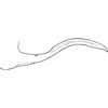 Pygofer appendages on Cubnara lyrata Dworakowska, 1981: Pygofer dorsal appendage. (Observation).