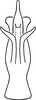 Aedeagus, ventral view on Erythridula angularis (Beamer, 1930): Aedeagus, ventral view. (Observation).