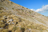 CollectionObject 1598774; 4c739932-0e87-44c9-9f98-859e8673ce04: habitat. (CollectionObject).