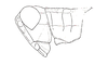 Dichroplus mantiqueirae Ronderos, Carbonell & Mesa, 1968: Fig. 98. male, head and pronotum, lateral view. (Otu).
