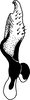 Stylus on Platymetopius (Platymetopius) manfredi Abdul-Nour, 1987: lateral view. (Observation).