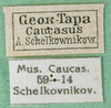 CollectionObject 1502077; 6b49e1ec-f180-4e11-b94a-f59ad78fe90c: labels. (CollectionObject).
