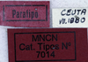 CollectionObject 1535977; 78233d52-766e-4fb3-bcfa-9f5b67088bc4: labels (syntype). (CollectionObject).