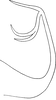 Aedeagus, lateral view on Edwardsiana ishidai (Matsumura, 1932): Aedeagus, lateral view (after Dlabola). (Observation).
