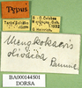 CollectionObject 1501247; f11396f1-251a-4c41-ac3d-de495e588bdf, DORSA BA000144S01: labels (holotype). (CollectionObject).