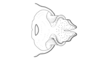 Propedies microsanguineus Cigliano & Lange, 1998: Fig. 2E. Distal portion of phallic complex, male (dorsal view). (Otu).