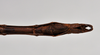 CollectionObject 1558564; 3ae685c8-f1c6-4bd0-85f7-d0b8fa72a781: copyright NTUC. male: end of abdomen, ventral view (syntype). (CollectionObject).;CollectionObject 1558565; b09dd22e-7f33-4771-b1d9-24d893a97422: copyright NTUC. male: end of abdomen, ventral view (syntype). (CollectionObject).