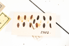 CollectionObject 1531299; f83e2ff5-29ac-4f62-9931-07564c9fac13: eggs (from type). (CollectionObject).
