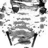 Abdomen, sternal apodemes, ventral view.: Pattern of sclerotization of dorsum abdomen of A. craccivora. (Observation).
