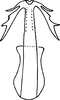 Aedeagus, ventral view on Acacimenus variabilis Viraktamath, 1999: Aedeagus, ventral view. (Observation).