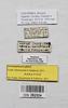 CollectionObject 1573654; 05e02b4f-3775-481c-b7f9-48fa9dd93ed6: male, data labels (paratype). (CollectionObject).;CollectionObject 1573655; 3f961c9b-bd31-4e0f-bca2-24bc8bfdcbb9: male, data labels (paratype). (CollectionObject).;CollectionObject 1573656; b070c6fa-4974-4189-b59d-0d9bcac4f628: male, data labels (paratype). (CollectionObject).