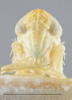 Head on Empoasca (Empoasca) panisca Ross & Moore, 1957: Head/Face. (Observation).