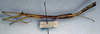 CollectionObject 1561781; dae40c3a-ffcc-4c84-8a4e-ae15189bc144: copyright NMW, Vienna. female (syntype). (CollectionObject).;CollectionObject 1561782; 077702d2-df5a-4b33-b0d9-90527953f9d7: copyright NMW, Vienna. female (syntype). (CollectionObject).