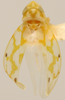 Habitus, dorsal view: !! display not done !! on Eratoneura robusta (Knull, 1955): Habitus (holotype, OSU collection). (Observation).