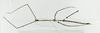 CollectionObject 1573594; 62b393cd-637d-4aa8-ada6-d47f6fb0cfb5: male, dorsal view (holotype). (CollectionObject).