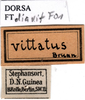 CollectionObject 1567130; 94190fb4-3df6-4b17-afd8-74e3db592abd: labels. (CollectionObject).
